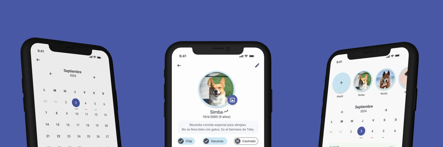 My Journey with Hackapet: Lessons from Open Source Leadership